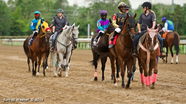 In Photos Winning Puss N Boots Cup Connections Take A Dip